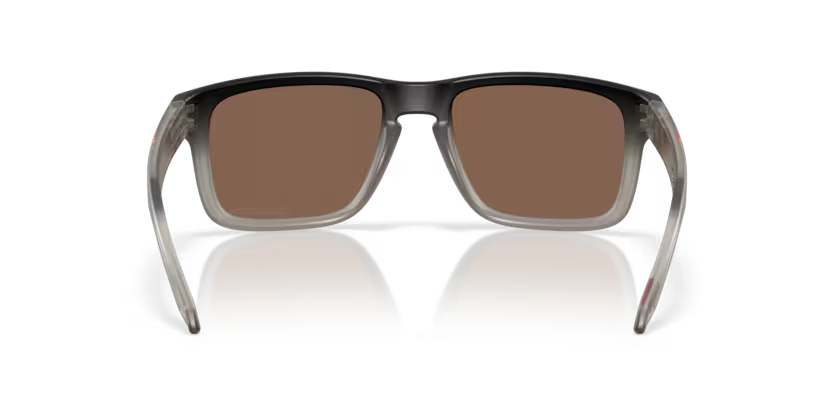 Oakley Holbrook 0OO9102-9102AH