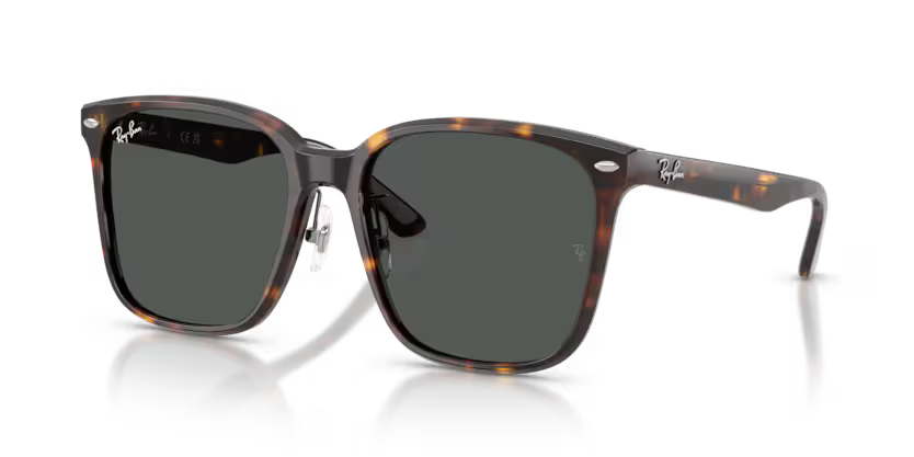 Ray-Ban 0RB2206D-710/87