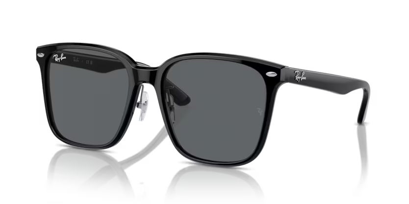 Ray-Ban 0RB2206D-901/87