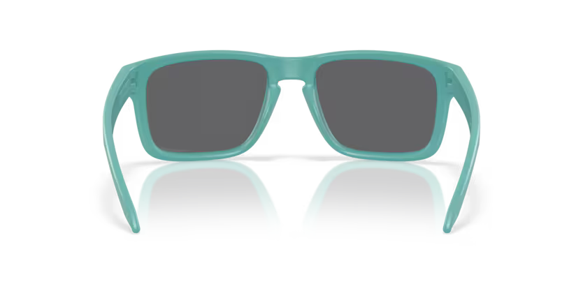 Oakley Holbrook 0OO9102-9102AF