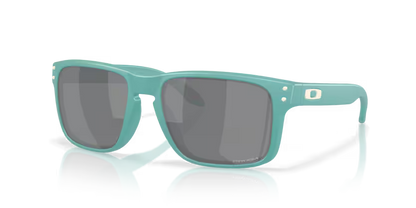 Oakley Holbrook 0OO9102-9102AF