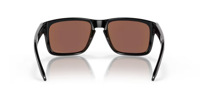 Oakley Holbrook 0OO9102-9102C1