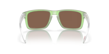 Oakley Holbrook 0OO9102-9102Y0