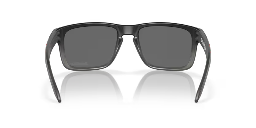 Oakley Holbrook 0OO9102-9102Z0