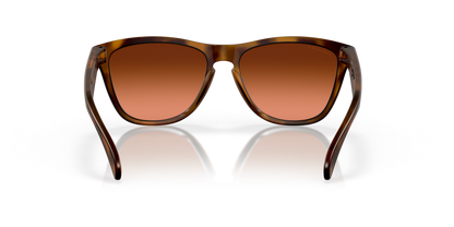 Oakley Frogskins (a) 0OO9245-D154