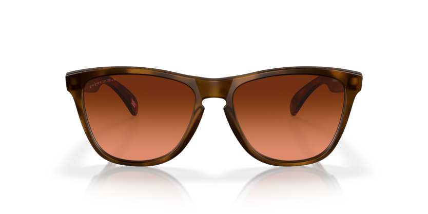 Oakley Frogskins (a) 0OO9245-D154