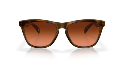 Oakley Frogskins (a) 0OO9245-D154