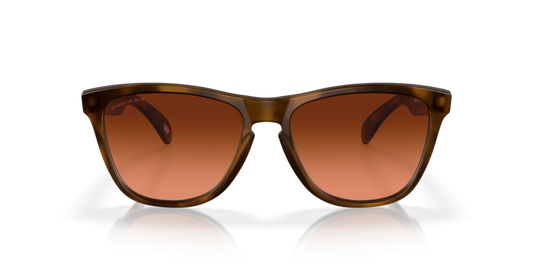 Oakley Frogskins (a) 0OO9245-D154