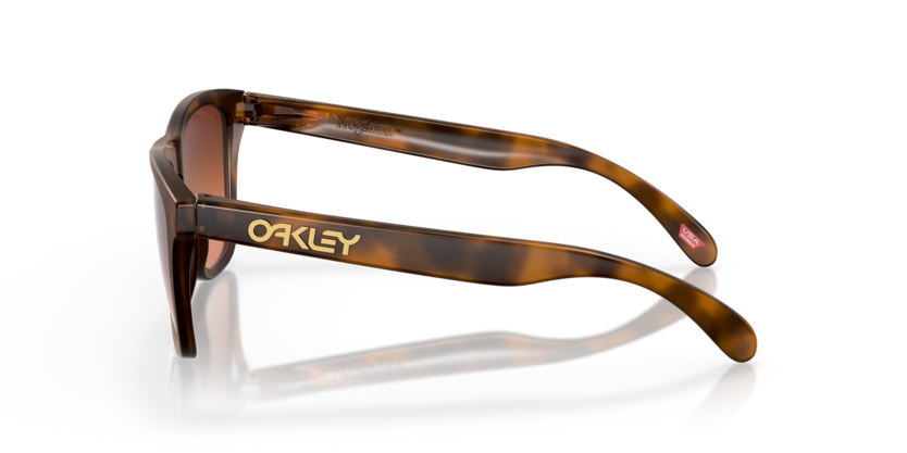 Oakley Frogskins (a) 0OO9245-D154