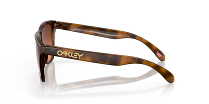 Oakley Frogskins (a) 0OO9245-D154