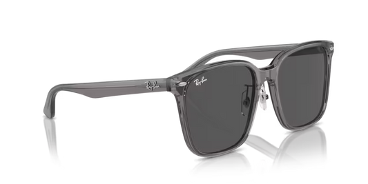 Ray-Ban 0RB2206D-139987