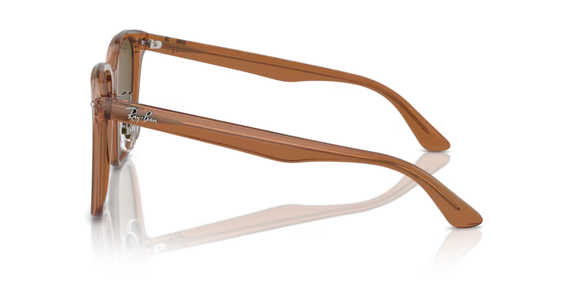 Ray-Ban 0RB2206D-663673