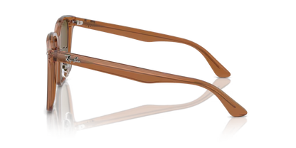 Ray-Ban 0RB2206D-663673