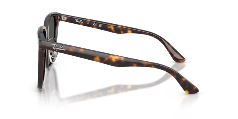 Ray-Ban 0RB2206D-710/87