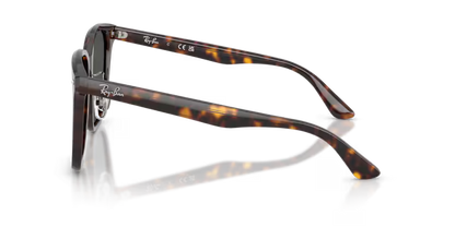 Ray-Ban 0RB2206D-710/87