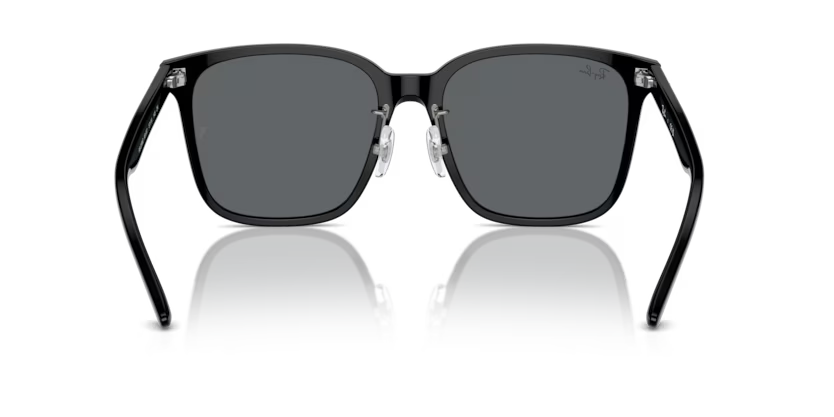 Ray-Ban 0RB2206D-901/87