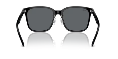 Ray-Ban 0RB2206D-901/87