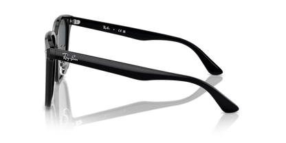 Ray-Ban 0RB2206D-901/87