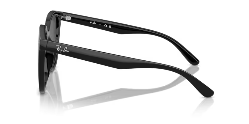 Ray-Ban 0RB4423D-601/87