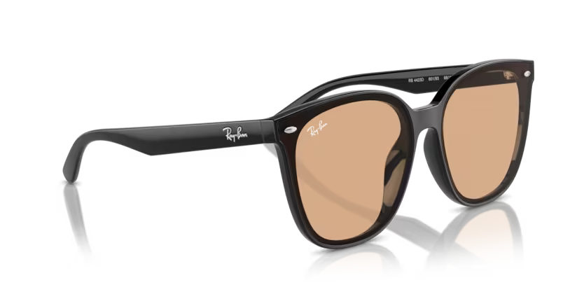 Ray-Ban 0RB4423D-601/93