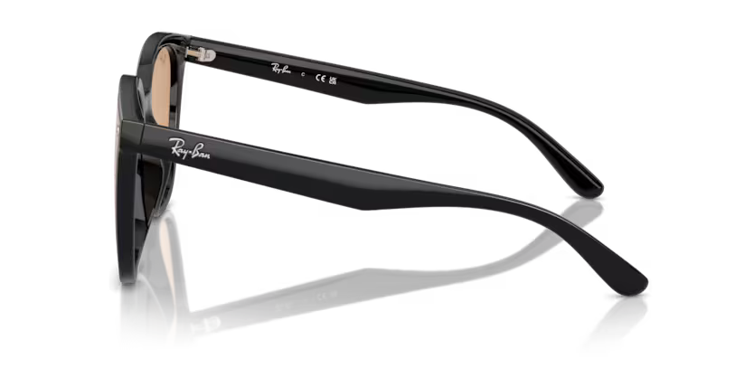 Ray-Ban 0RB4423D-601/93