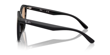 Ray-Ban 0RB4423D-601/93