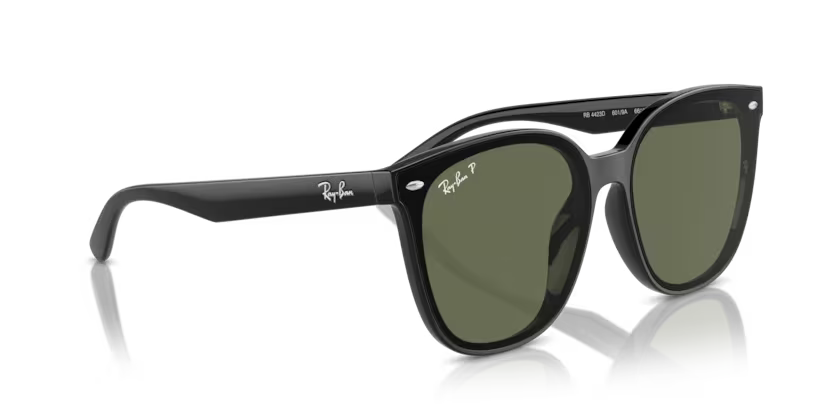 Ray-Ban 0RB4423D-601/9A