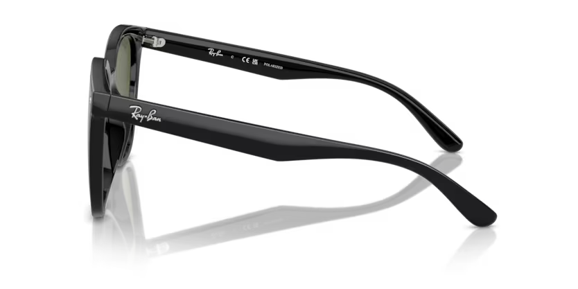 Ray-Ban 0RB4423D-601/9A