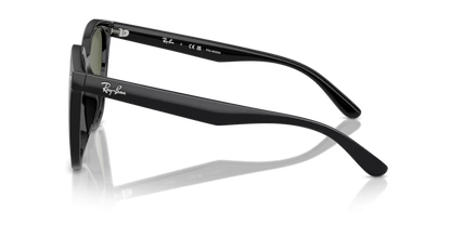 Ray-Ban 0RB4423D-601/9A