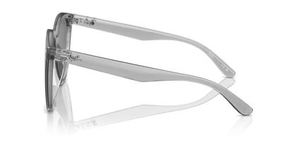 Ray-Ban 0RB4423D-645087