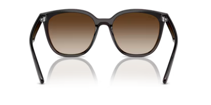 Ray-Ban 0RB4423D-714/13