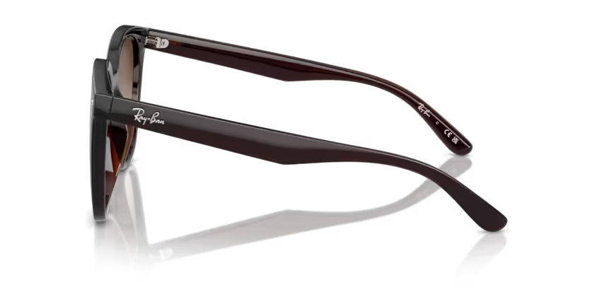 Ray-Ban 0RB4423D-714/13