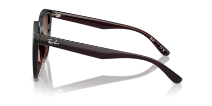 Ray-Ban 0RB4423D-714/13