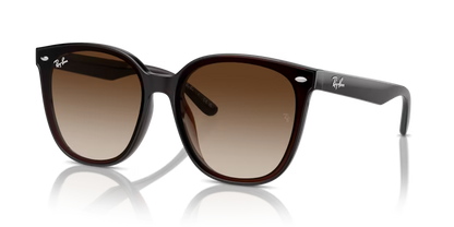 Ray-Ban 0RB4423D-714/13