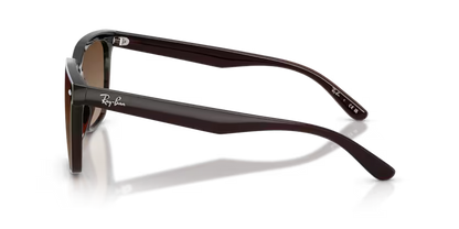 Rayban RB 4466D-714/13