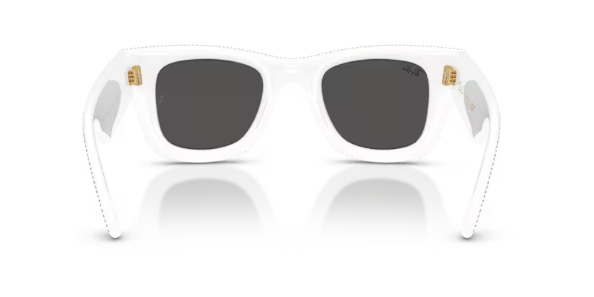 Rayban Wayfarer puffer 0RB4940BP-686687