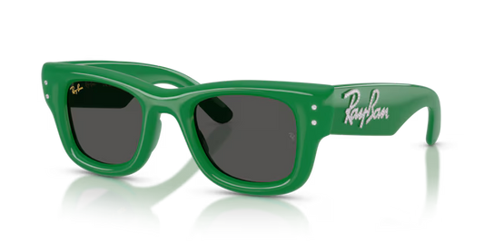Rayban Wayfarer puffer 0RB4940B-685987