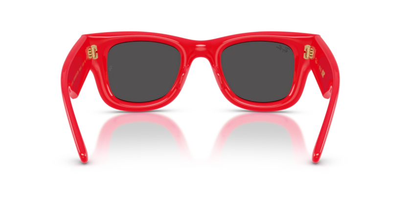 Rayban Wayfarer puffer ORB4940-683187