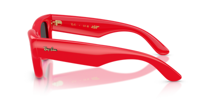 Rayban Wayfarer puffer ORB4940-683187